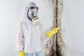 Best Industrial Mold Remediation  in Howland Center, OH